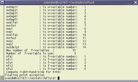 Floating point exception