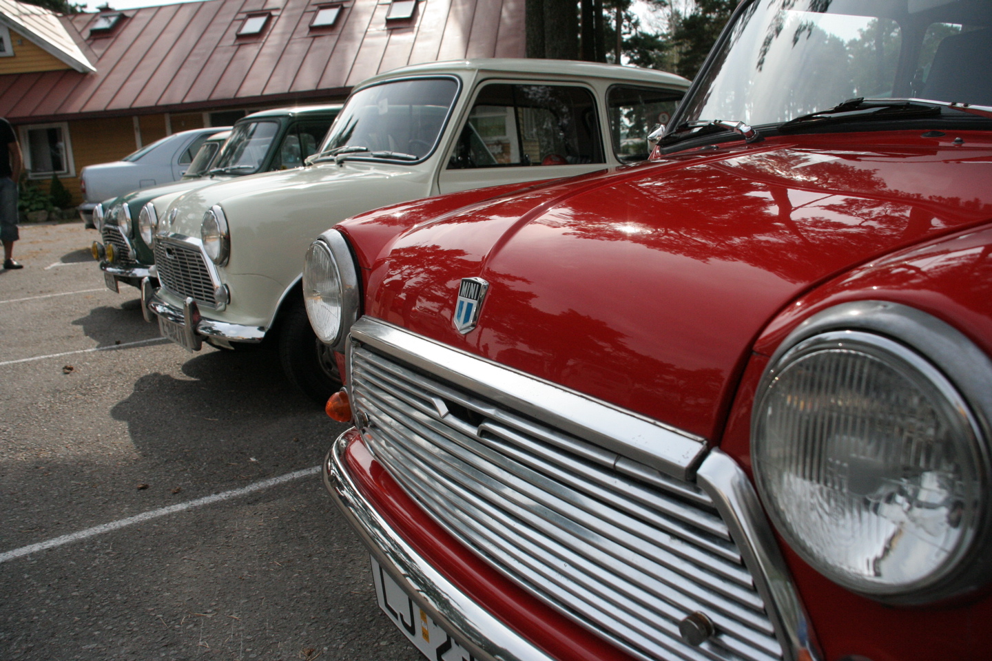 IMG_8098.JPG