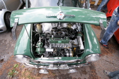 IMG_8172.JPG