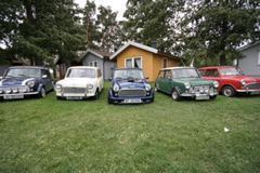 IMG_8181.JPG