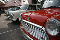 IMG_8098.JPG