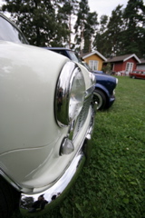 IMG_8186.JPG