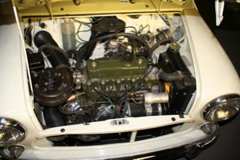 IMG_6856.JPG