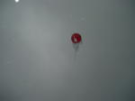 Click on one of the size names above to enlarge this image Click on one of the size names above to enlarge this image