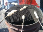 Click on one of the size names above to enlarge this image Click on one of the size names above to enlarge this image