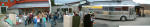 Click on one of the size names above to enlarge this image Click on one of the size names above to enlarge this image