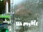 Click on one of the size names above to enlarge this image Click on one of the size names above to enlarge this image