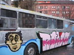 Click on one of the size names above to enlarge this image Click on one of the size names above to enlarge this image