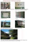 Click on one of the size names above to enlarge this image Click on one of the size names above to enlarge this image